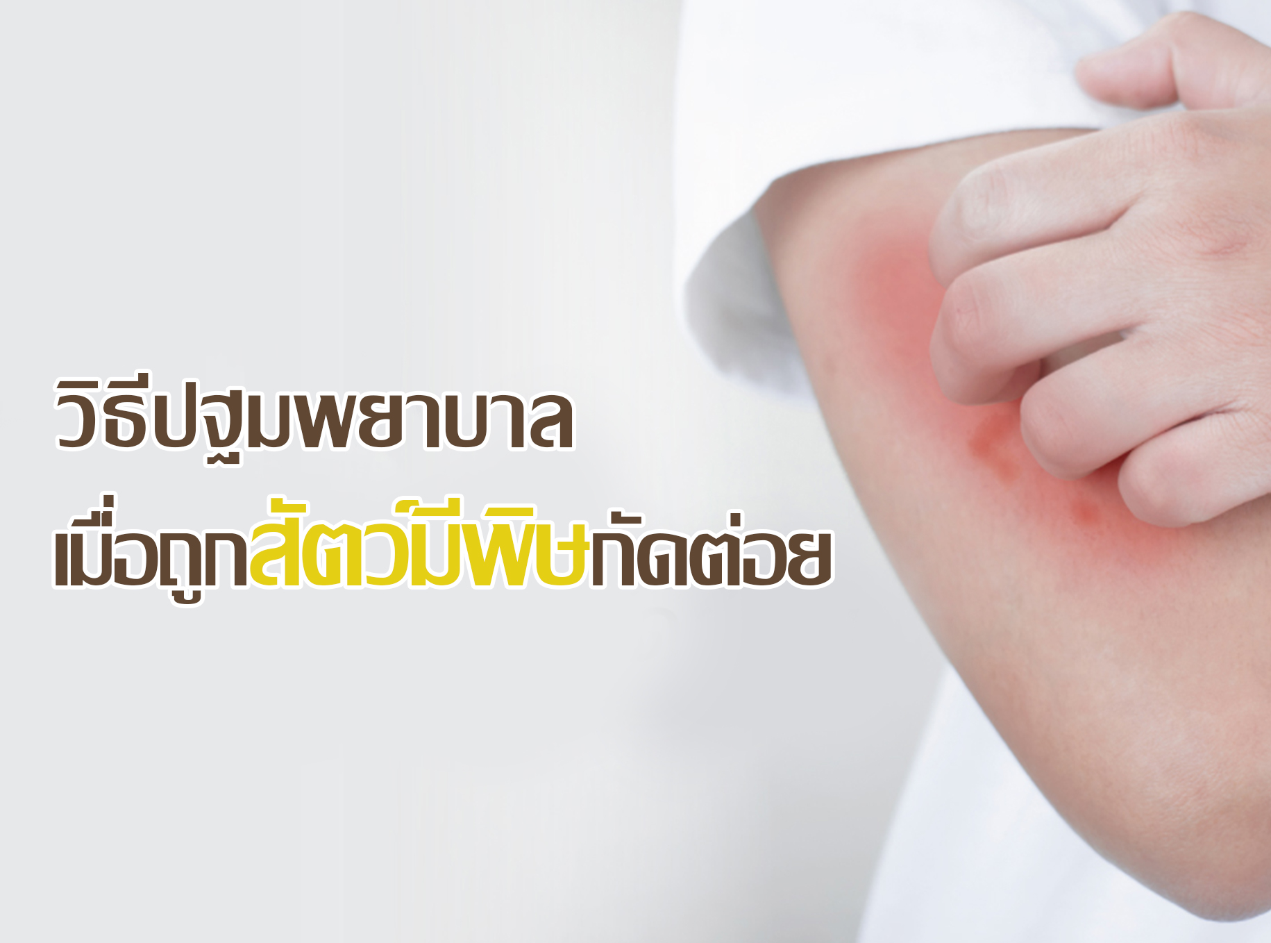 Images/Blog/1nBbVgNB-วิธี.jpg