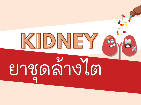 Images/Blog/5M1E5o5n-kidney.png