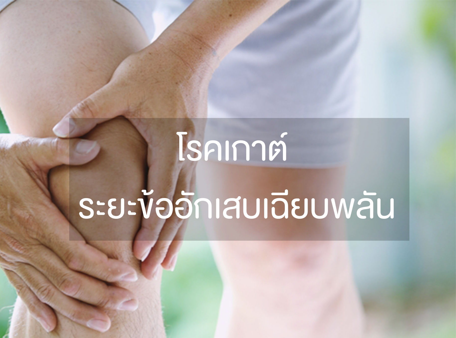 Images/Blog/JvzIb4SF-แบบกำหนด1.jpg