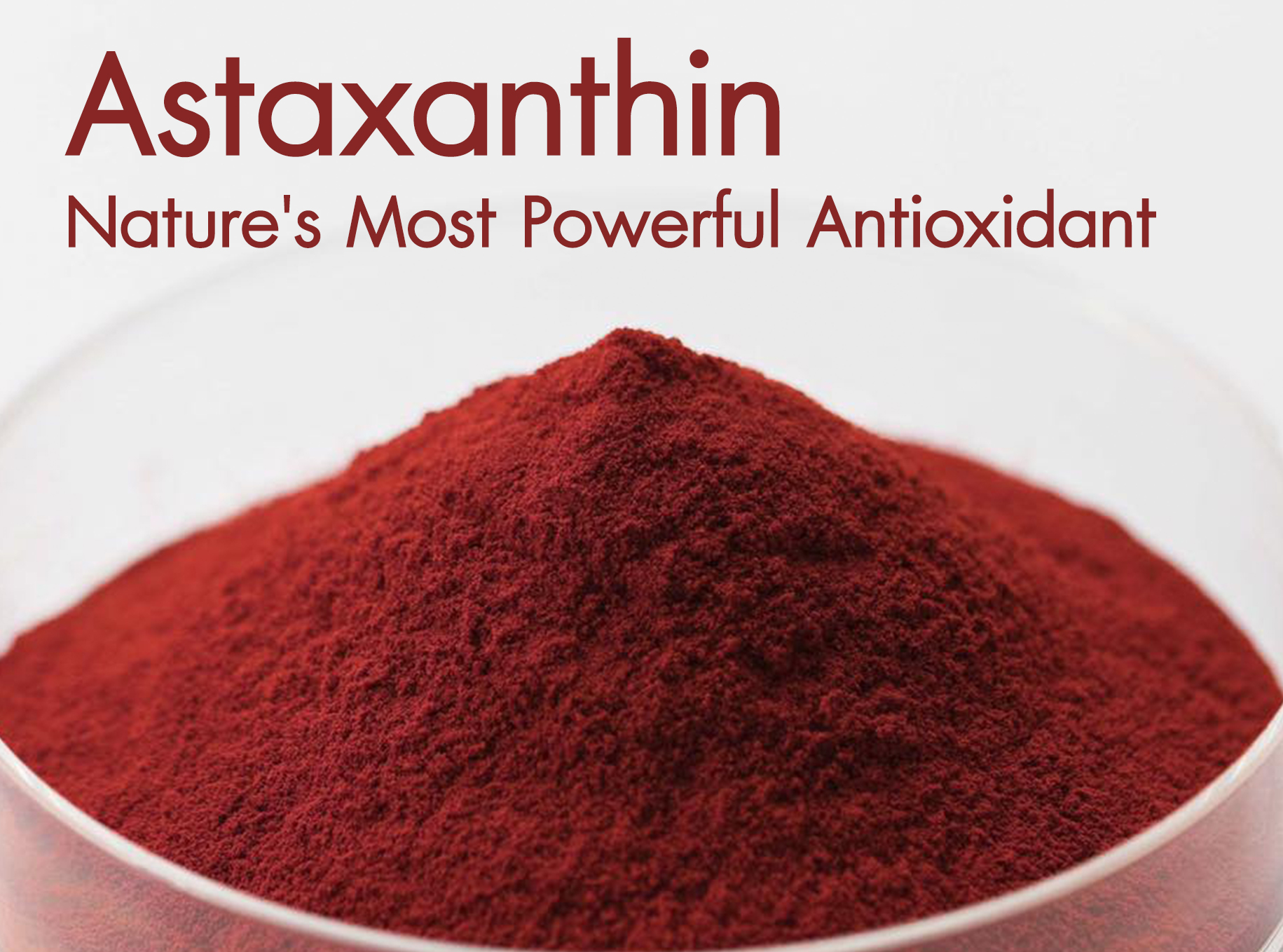 Images/Blog/YHJQAydl-Nature's-Most-Powerful-Antioxidant.jpg